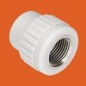 Mufa PP-R 16x1/2" GW z gwintem wewnętrznym Sigma-Li Mufa PP-R 16x1/2" GW z gwintem wewnętrznym Sigma-Li