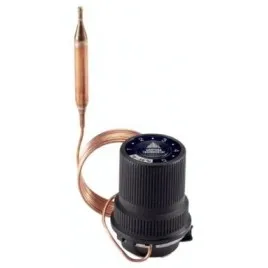 Termostatyczny Element RAW 10-38